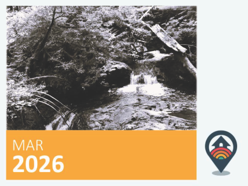 Black and white image of a running stream
